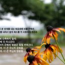 믿음