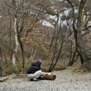 덕동리301캠핑장 이미지