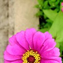 명월리 경로당 이미지