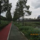 수영강 세월교 이미지