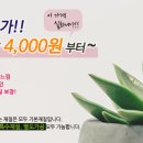 조은디자인기획 이미지