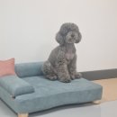 닥터장 동물의료센터 이미지