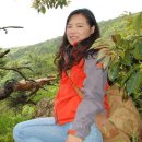 선돌밧데리 이미지