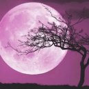 (주)영롱 이미지