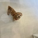 말바우동물병원 이미지