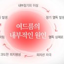 세원연합의원 네이버블로그