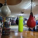 달서권투 이미지