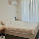망디 | 고성 애견동반펜션 오늘바다 봉포해수욕장 가성비 숙소 내돈내산