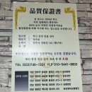 원주 장어 맛집, 혁신풍천민물장어에서 소금구이장어 먹은 후기