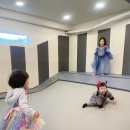 키즈풀숲 | 울산 키즈풀대관 키즈풀숲 12월 다녀온 후기 !