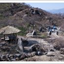 섬진농원 이미지