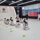 팀 에이스 태권도 이미지