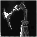 용인대 아이튼튼 태권도장 이미지