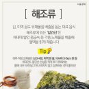 운암초·중학교 이미지