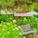 베이커리하우스 - 춘천시 공지로 80 | 일산 카페 정원이 예쁜 배다골 베이커리 하우스 주차장 메뉴 평일 후기