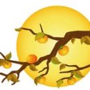 브릿지라잇학원 이미지