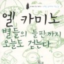 콤포스텔라별들의들판 이미지