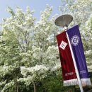 서울여자대학교 이미지