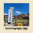 영월아프리카미술박물관 | 아이들도 쉽게 아프리카 역사와 문화를 느낄 수 있는 아프리카미술박물관 [영월]