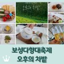 청광농장 | 보성 다향대축제 <오후의 차밭> 후기 / 보성녹차와 다식을 코스로~