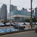 스시지 | 수원 스타필드 스시맛집 혼마 초밥, 바로 이게 스시지~