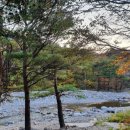 도원1리마을회관 이미지