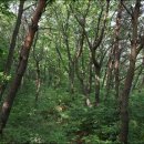 영림농장 이미지