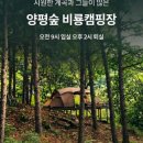 양평숲 비룡캠프장 이미지