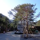 행복주차장 이미지