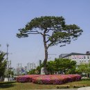 연지공원(조각공원) 이미지