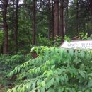 왕방산 등산로 네이버블로그