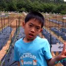 오리궁뎅이 이미지