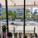 살롱드 마이독 이미지