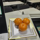 현대농수산 - 신안군 압해로 687 | [강의후기] 서울시농수산식품공사 리더십/소통 교육