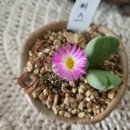 조해인공인중개사사무소 이미지