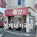 봉계돼지국밥 이미지