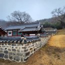 홍산향교 은행나무 이미지