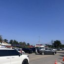 개화1리마을회관 | 강원도 봄 여행 필수코스 제22회 삼척 맹방 유채꽃축제 개화시기, 맹방 해수욕장 주차정보