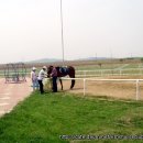 우리승마장 이미지