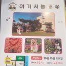 여기서 놀개 이미지