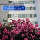 GS25 가야공원점 이미지