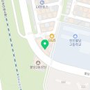 멍냥스테이 애견호텔유치원 | 멍냥스테이의 구강관리의 날 🫧🪥