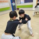 라이온 합기도 이미지