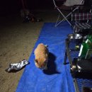 장천마을캠핑장 이미지