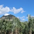 사우스사계 이미지