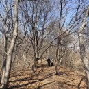 원주굽이길 20코스 다둔길 | 원주기업도시 둘레길 아직 겨울풍경인 3월초 원주 가볼만한곳 원주굽이길 19 산책하기 좋아요