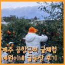 예원농장 | 제주 공항근처 귤따기체험, 예원이네 귤농장 후기