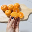 달.프룻 이미지