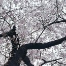 경남아너스빌 사거리 이미지