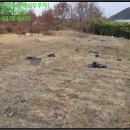 강동초 단구분교 이미지